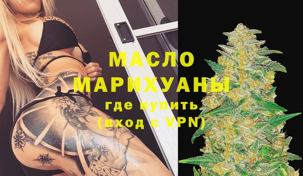 индика Богородск