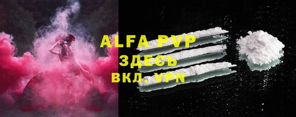 индика Богородск