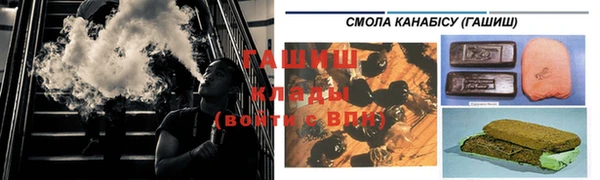 стаф Богородицк
