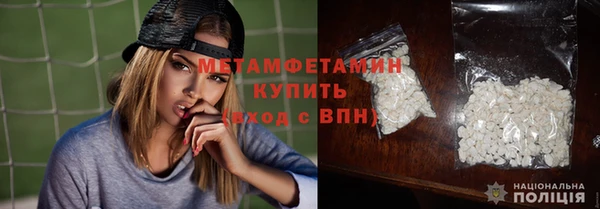 индика Богородск