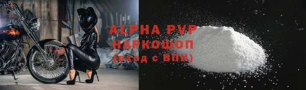 стаф Богородицк