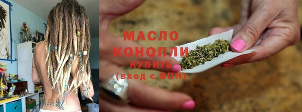индика Богородск