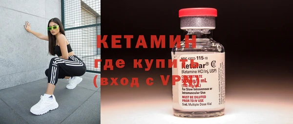 индика Богородск