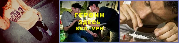 индика Богородск