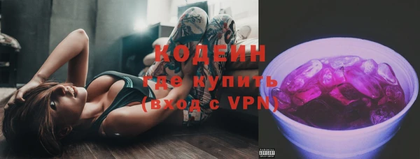 индика Богородск