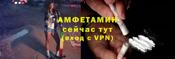 индика Богородск