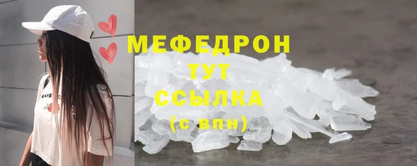 индика Богородск