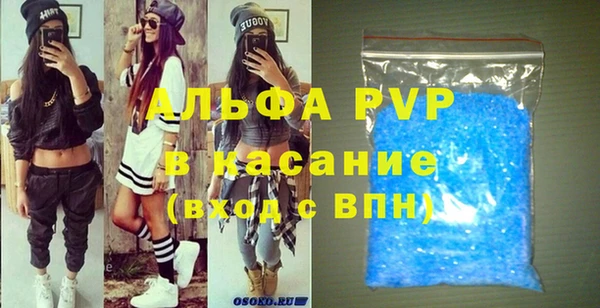 стаф Богородицк