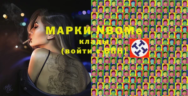 индика Богородск
