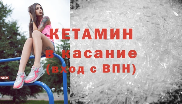 индика Богородск