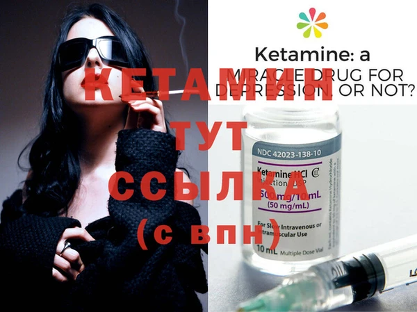 индика Богородск