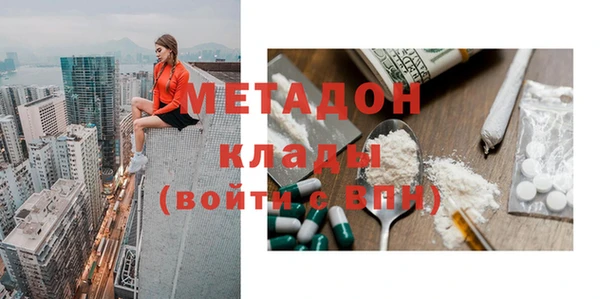 индика Богородск
