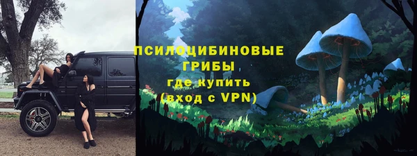 стаф Богородицк